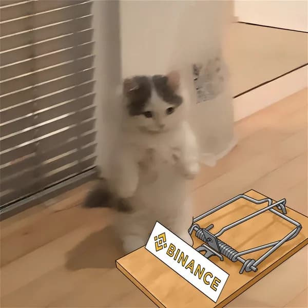 exchanges binance mousetrap