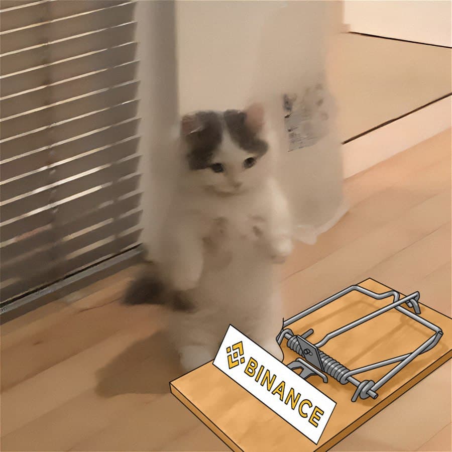 exchanges binance mousetrap