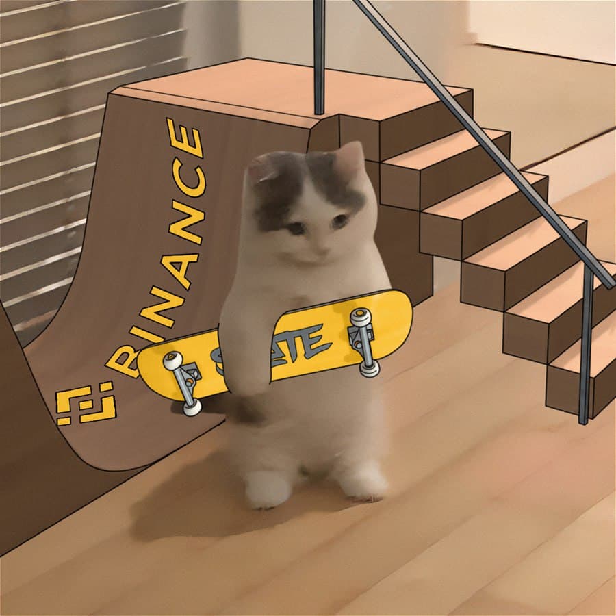 exchanges binance skateboard