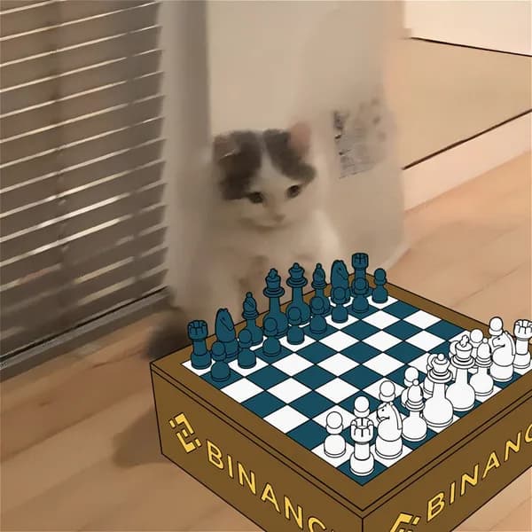 exchanges binance chess