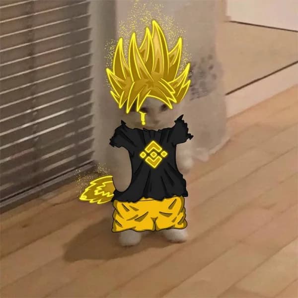 binance exchanges goku