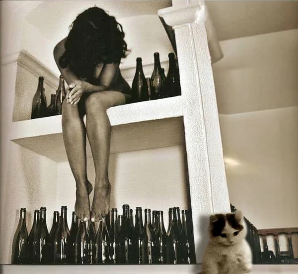 drink bottle champaign wine girl