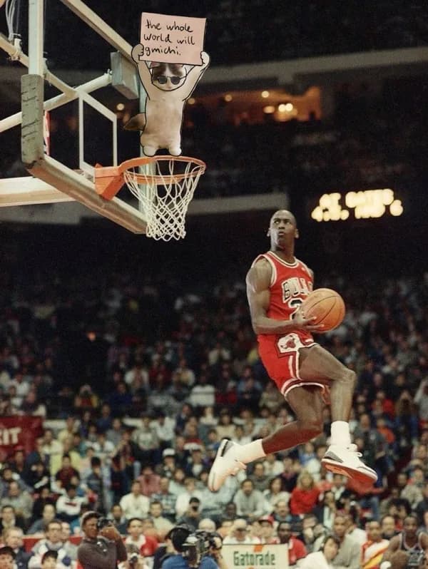 nba basketball dunk michaeljordan mj