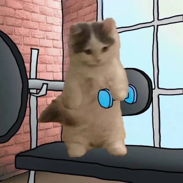 gym workout weights