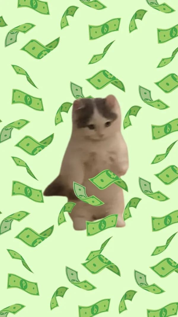 dollar money rain