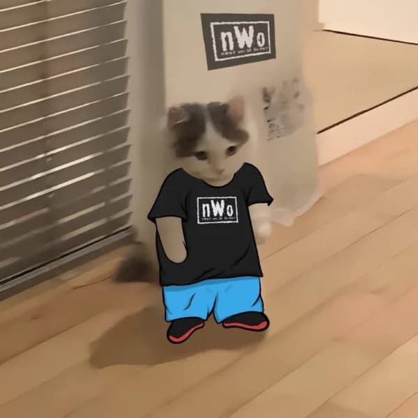 neet nwo
