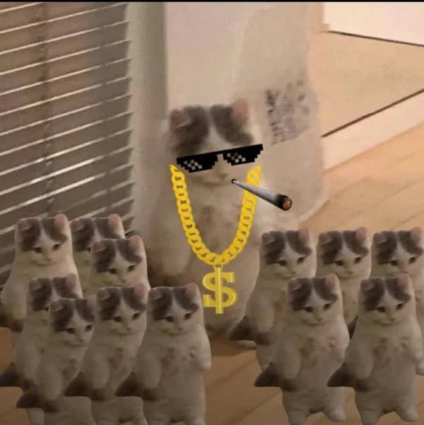 cult gang group multiple blunt weed sunglasses chain smoke