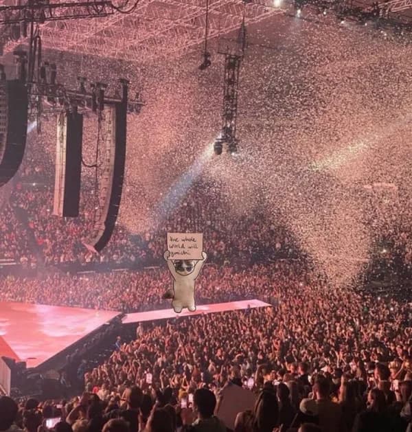 concert show