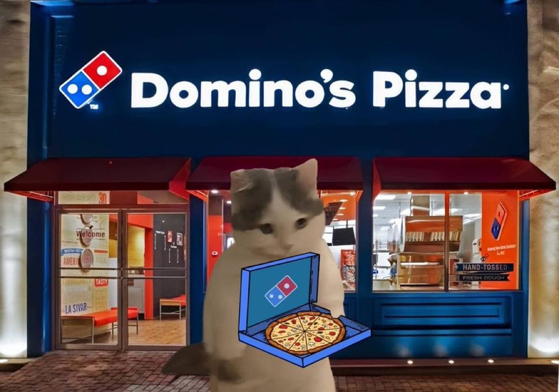 dominos pizza food