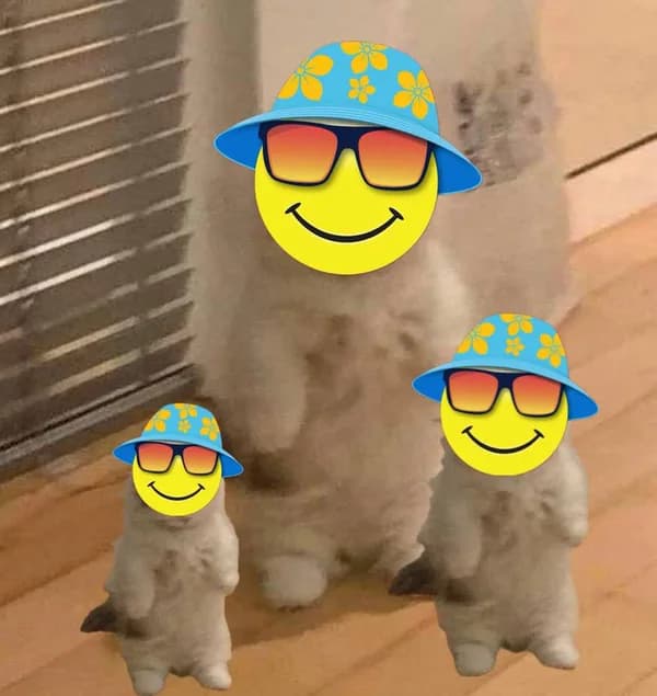 smile hat sunglasses happy