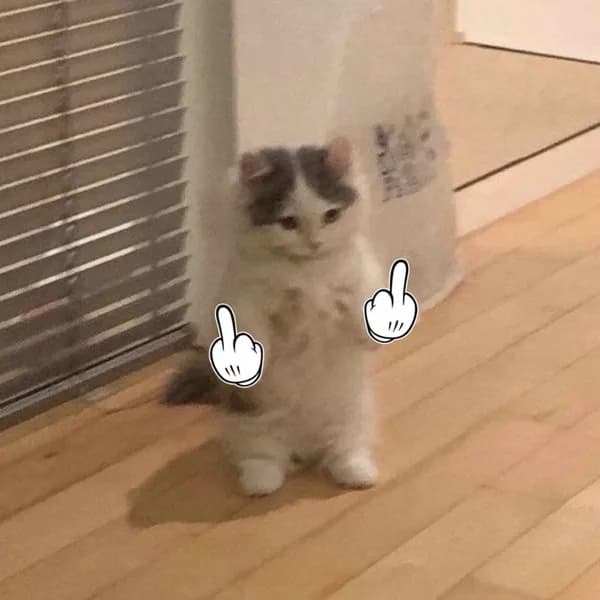 fuck mood