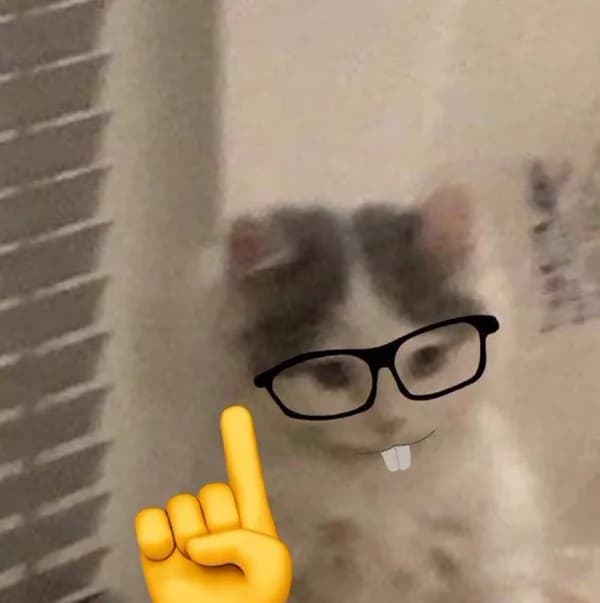glasses funny tsk