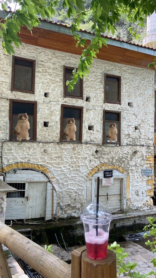 window building walls drink