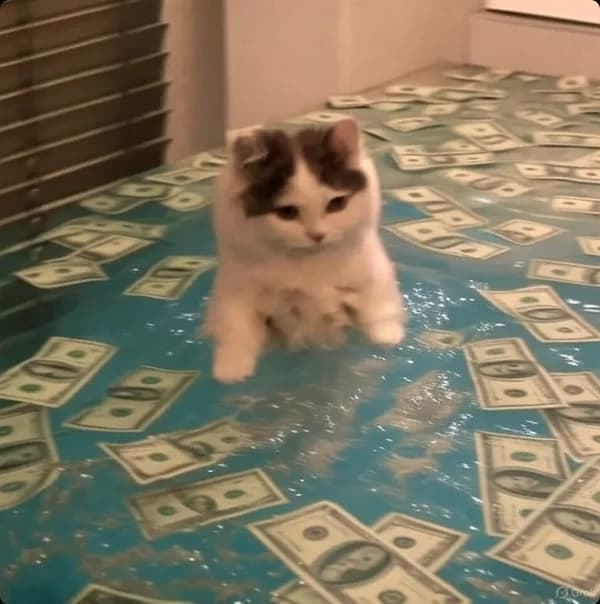 water money bills