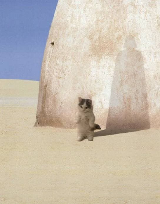 stone shadow starwars