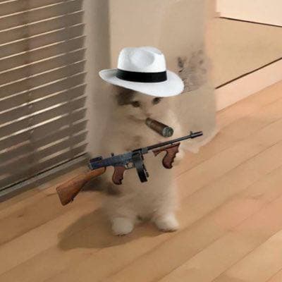 mob mafia fedora gangster godfather smoke cigar hat gun