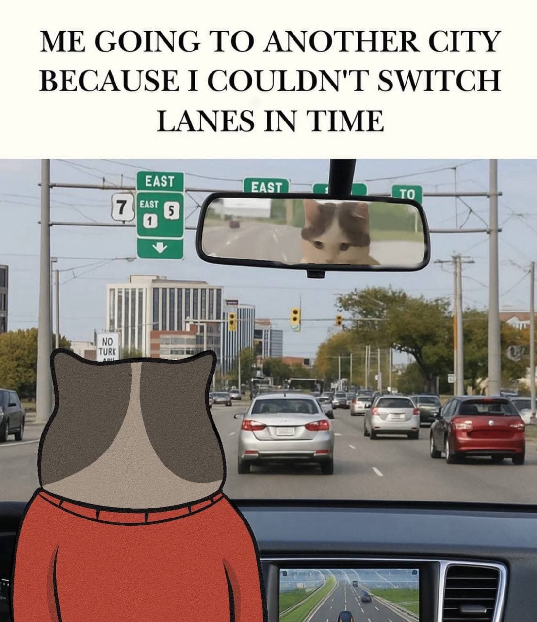city drive car switchlane mirror meme