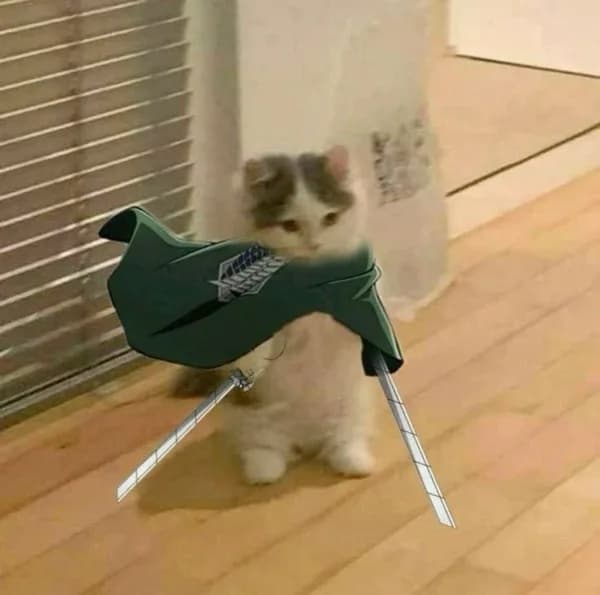 sword weapon cape