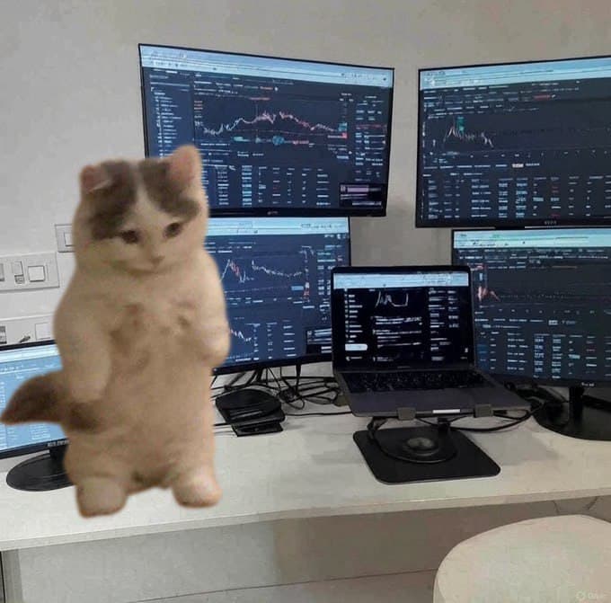 trading setup computer charts pc