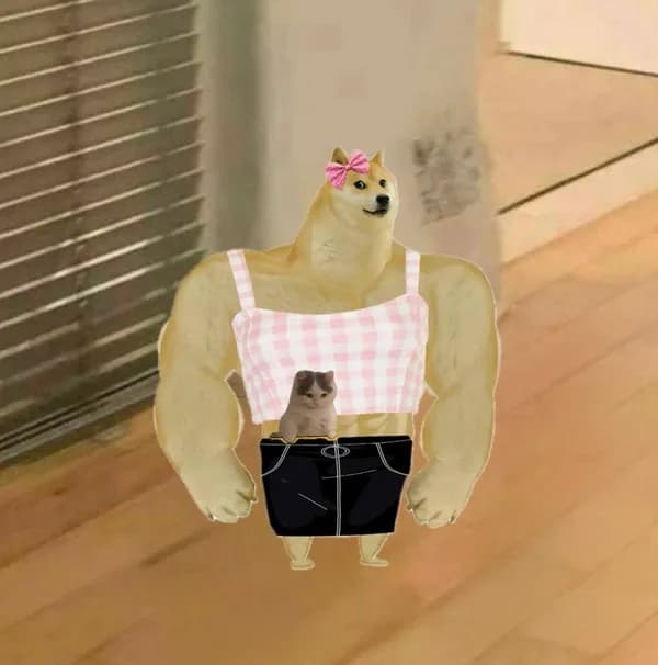 cheems dog