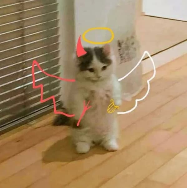 angel devil wings