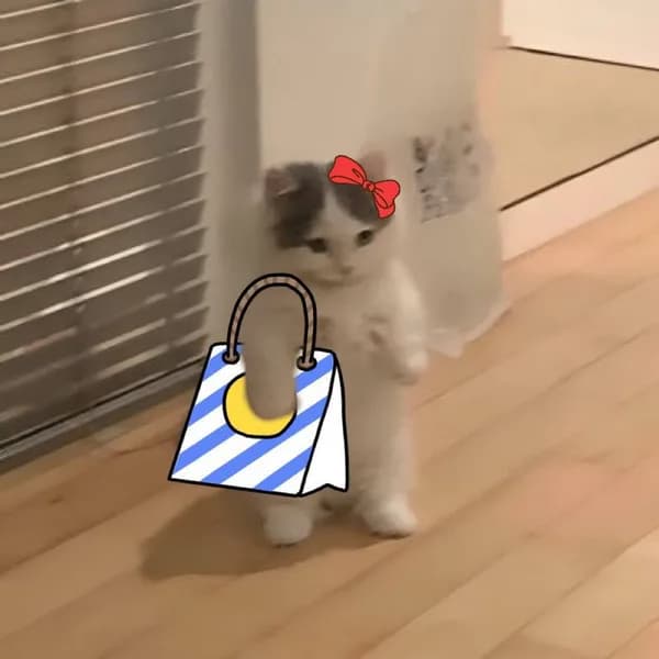 bow bag shop girly