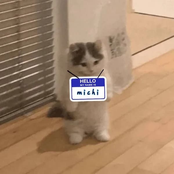 hello name