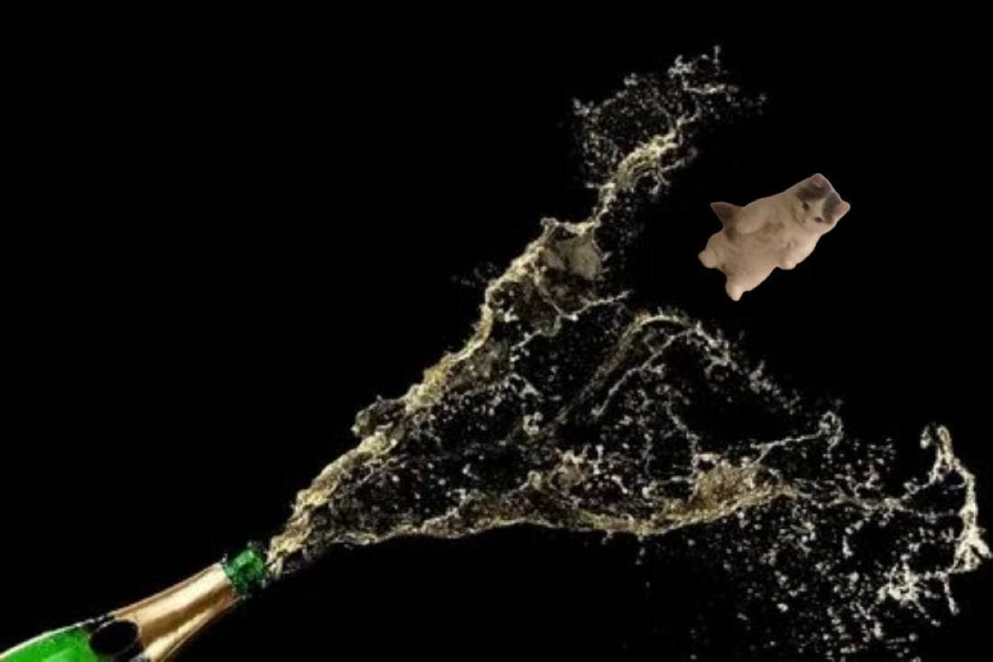 champagne alcohol drink pop