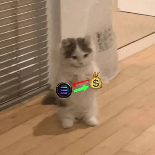 solana buy bags