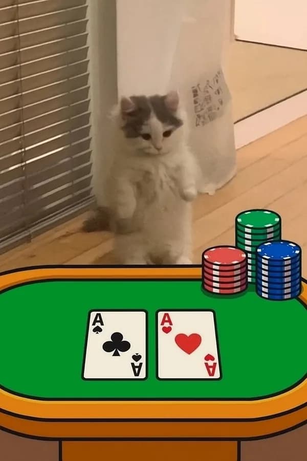 poker