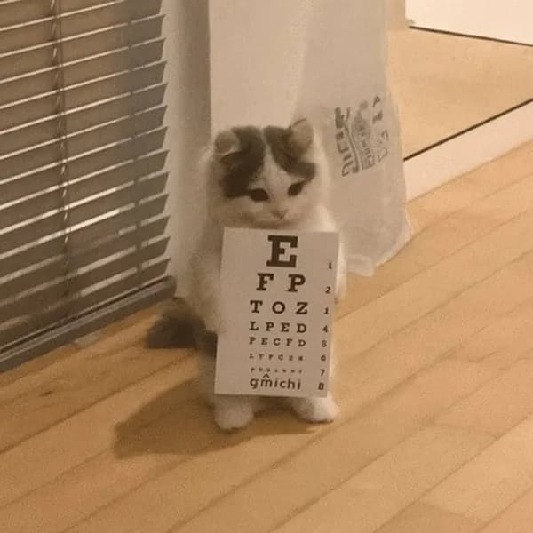 visiontest