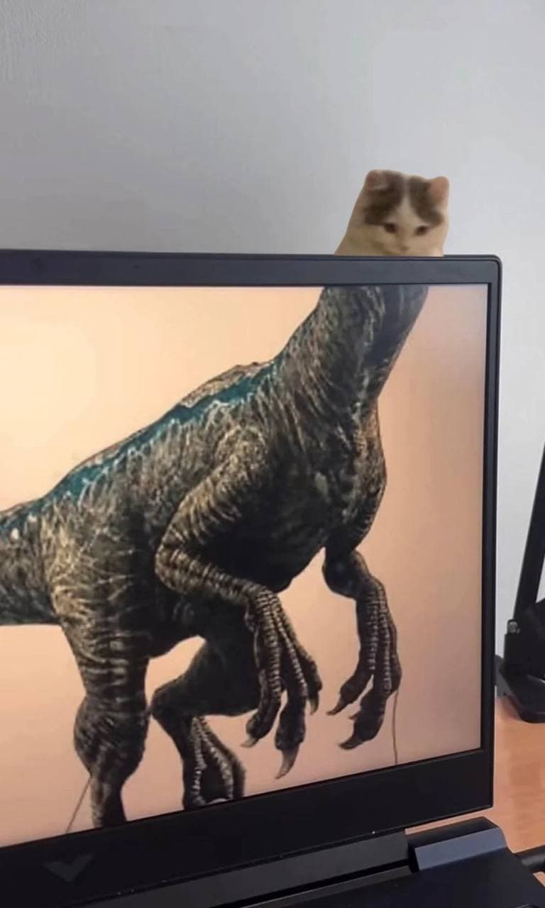 dinosaur computer monitor funny predator head