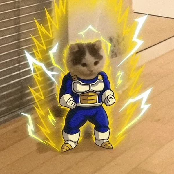 vegeta dbz dragonball aura