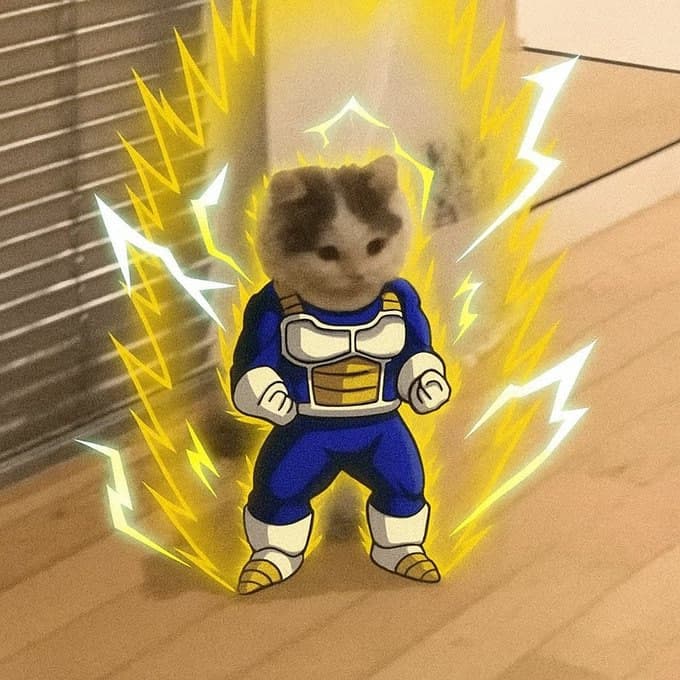 vegeta dbz dragonball aura