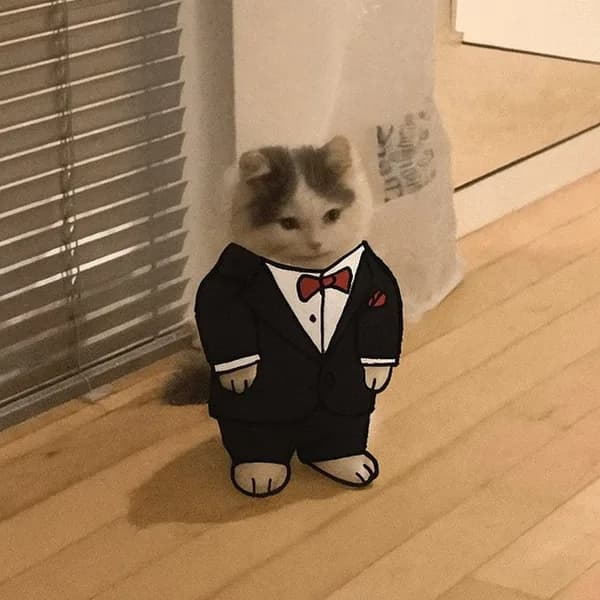godfather don