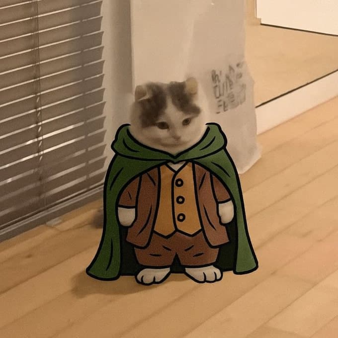 lotr lordoftherings cape