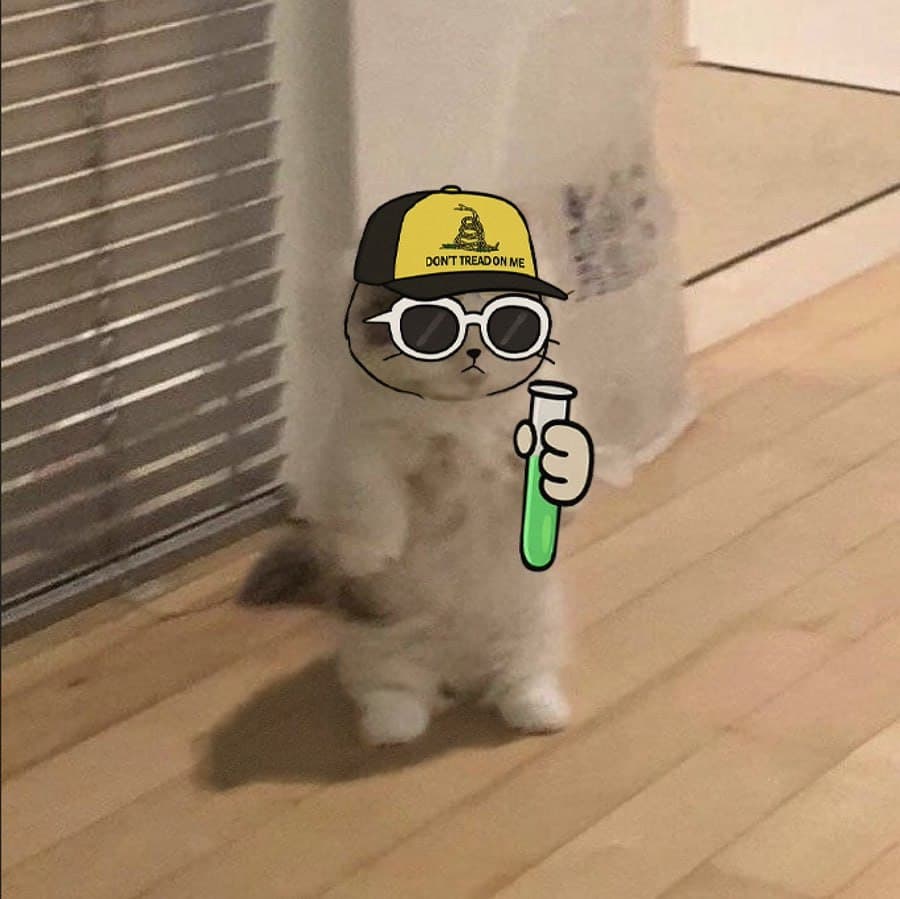 pumpfun alon hat sunglasses