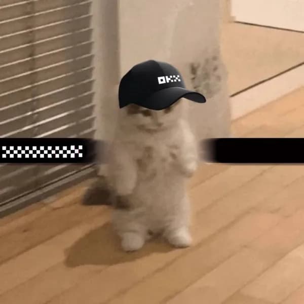 okx hats exchanges