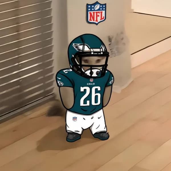 nfl football sports philadelphia eagles
