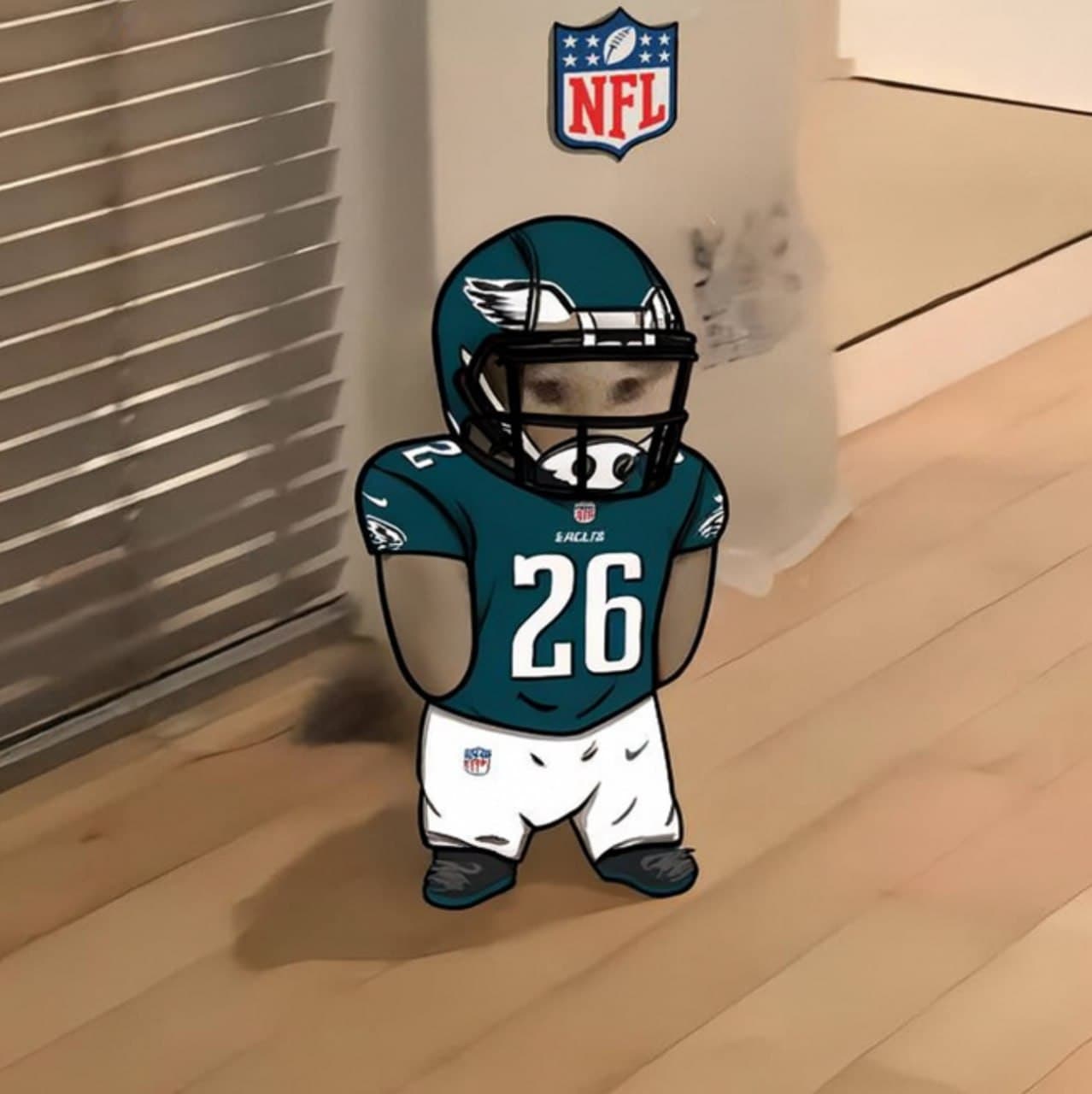 nfl football sports philadelphia eagles