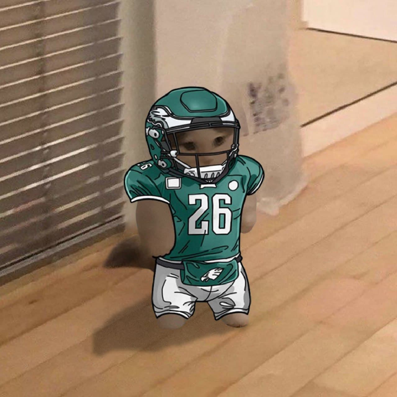 nfl football sports philadelphia eagles