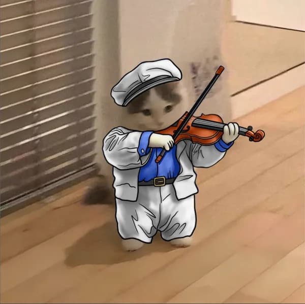 violin music instrument