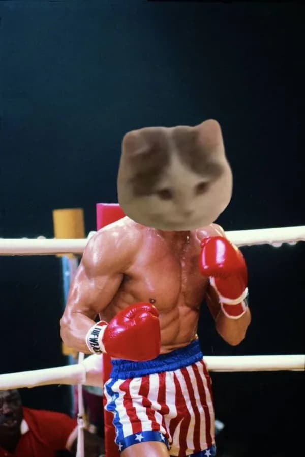 boxing ring
