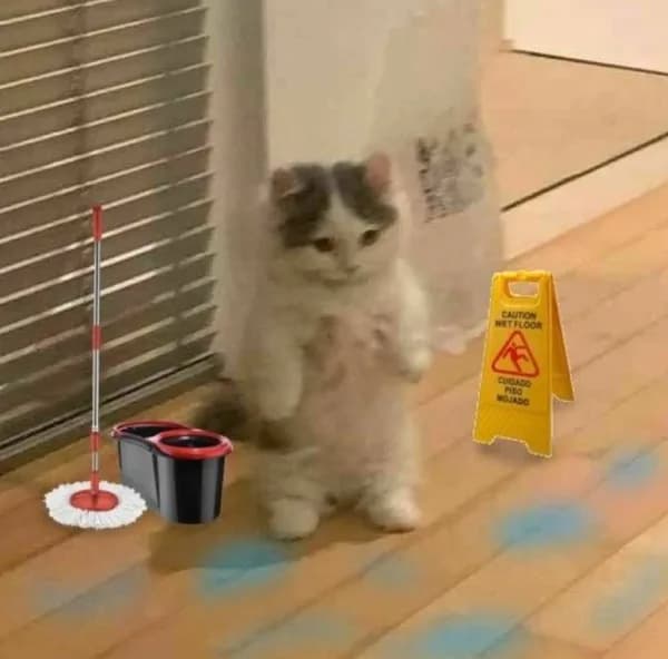 clean mop caution wet