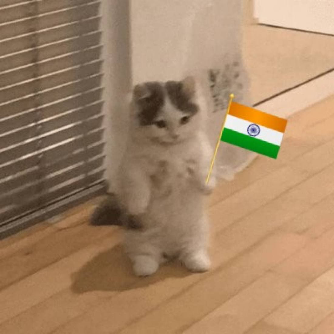 india flag