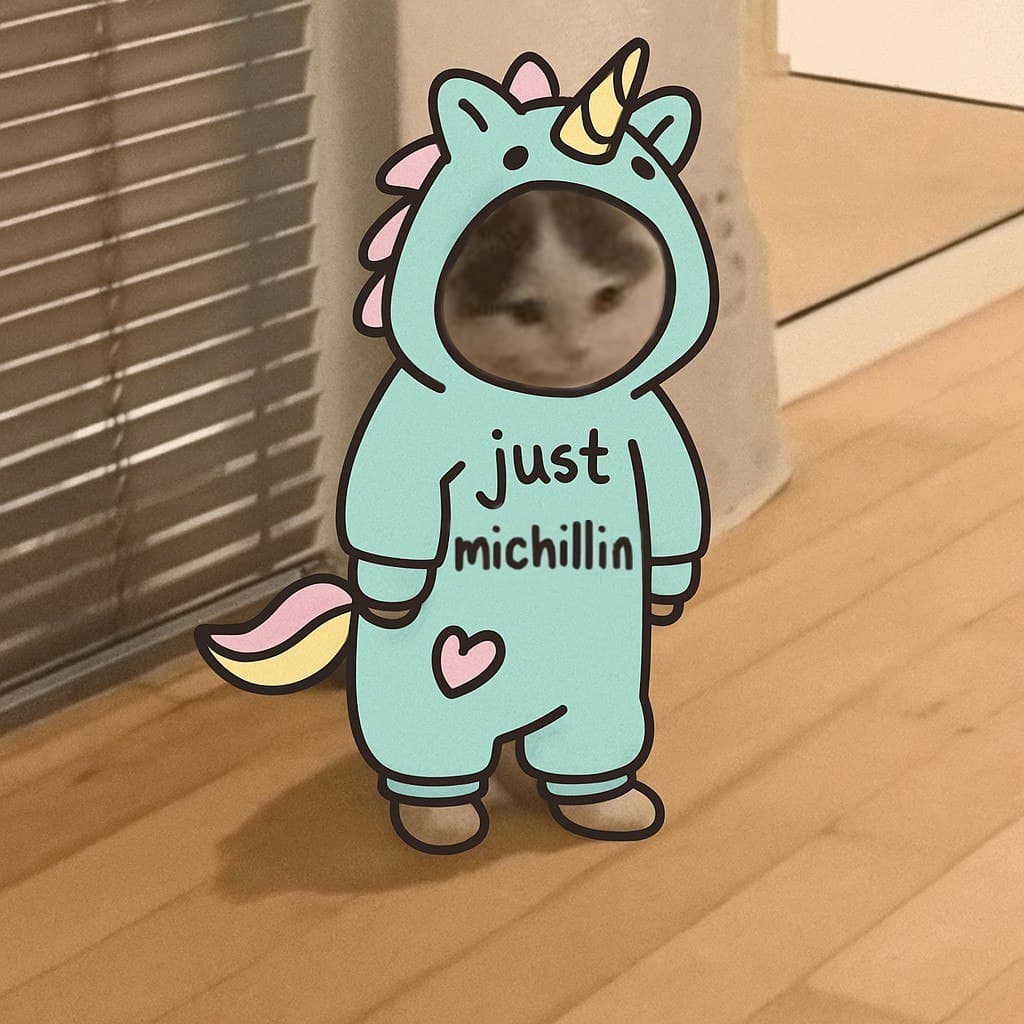 michillin cute onesie