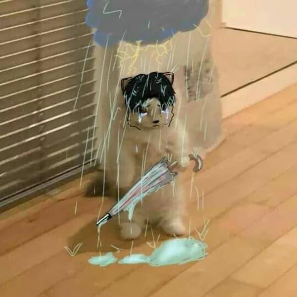 sad rain umbrella cry