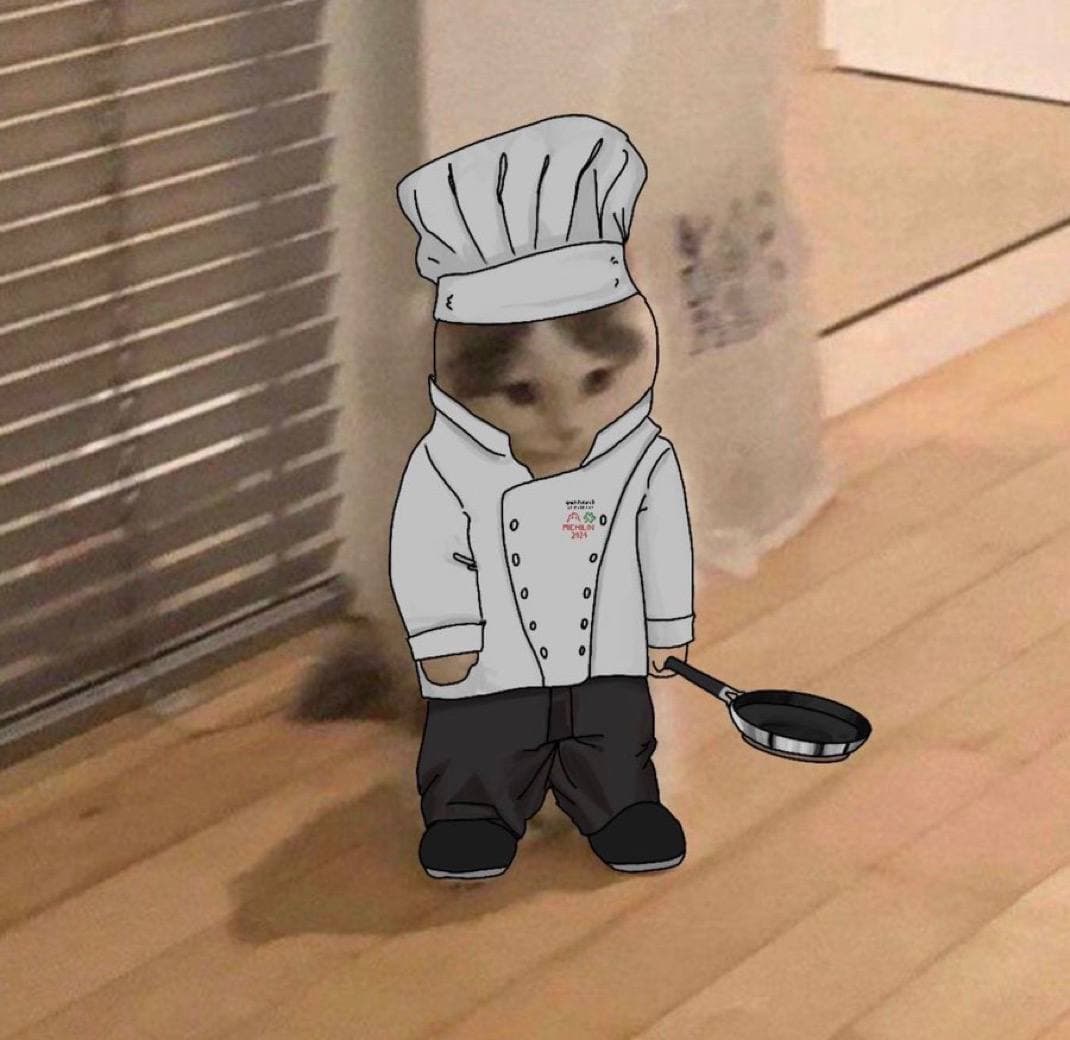 cook chef