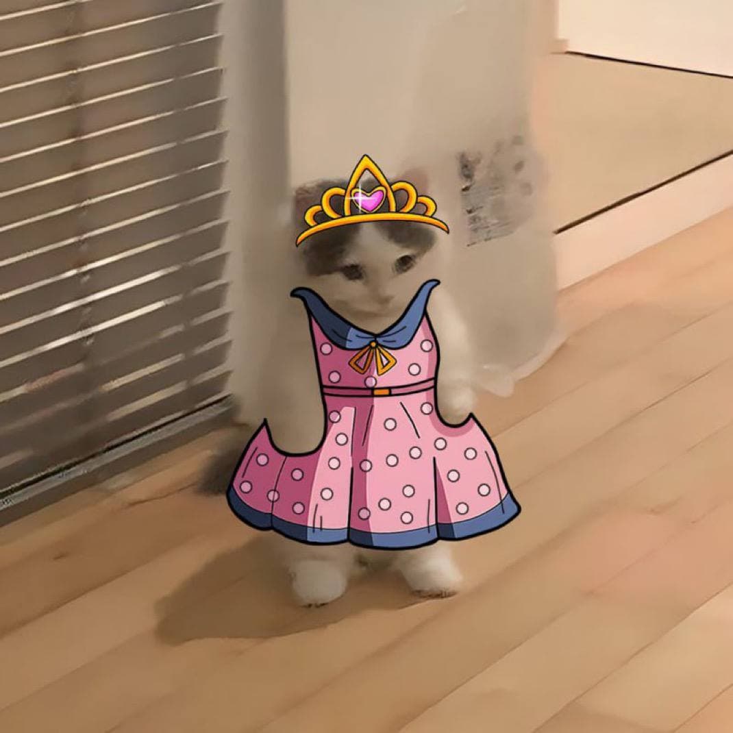 girly princess dress pink