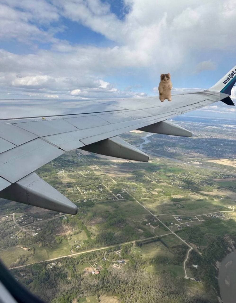 airplane plane flight